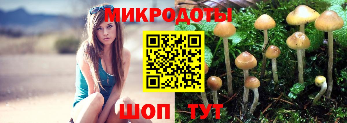 Галлюциногенные грибы прущие грибы  Псилоцибиновые грибы прущие грибы  Кимры  Вход с VPN 