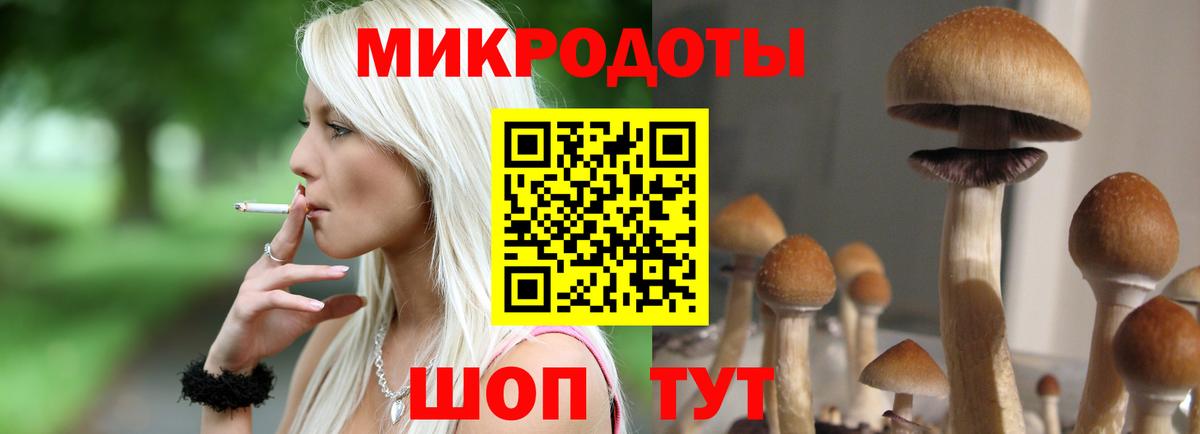 Псилоцибиновые грибы прущие грибы Кимры